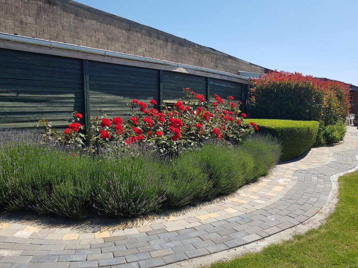 De achtertuin Appartement Maasmechelen Buitenkant foto